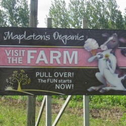 mapleton_organic_farm